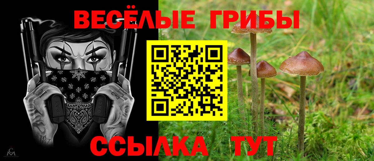 Галлюциногенные грибы прущие грибы  Вход с VPN  Шумерля  Псилоцибиновые грибы Psilocybine cubensis 
