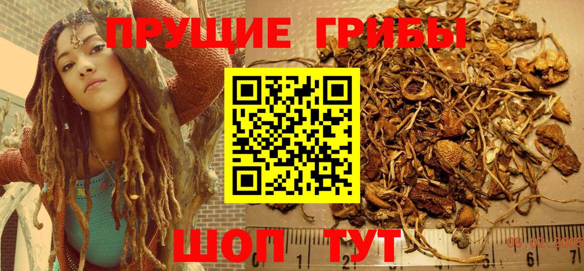 Галлюциногенные грибы MAGIC MUSHROOMS Шумерля